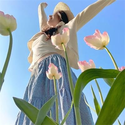 蜘蛛王国